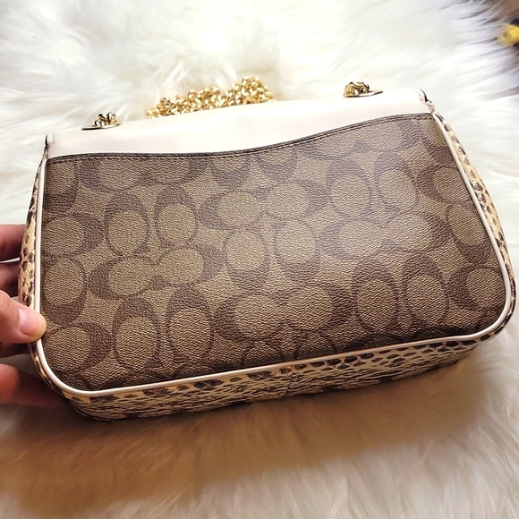 Coach - Picture 4 of 12